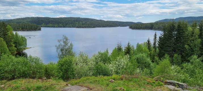 Photo of the view over Bjørnsjøen from Kikutstua. The lake is surrounded by fir trees. The sky is partly cloudy.