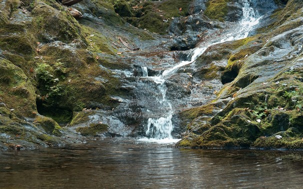 A small waterfall cascading over moss-covered rocks into a still pool. The image is in subdued color, mostly yellow-greens, bluish grey, and brown.