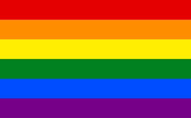 The modified original pride flag made by Gilbert Baker in 1978/1979