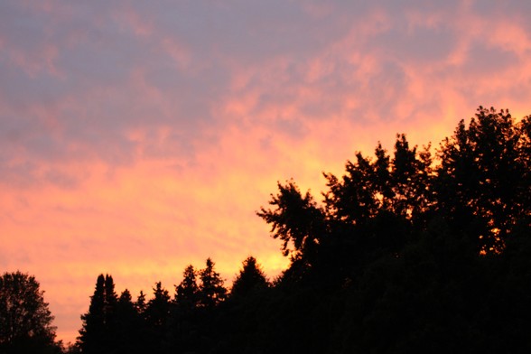 Lavender, pink, orange and yellow partly cloudy sky above a silhouetted line of trees. 