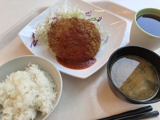 A meal consisting of a rice bowl, a plate with a breaded cutlet topped with sauce and shredded cabbage, a cup of miso soup, and a cup of tea.