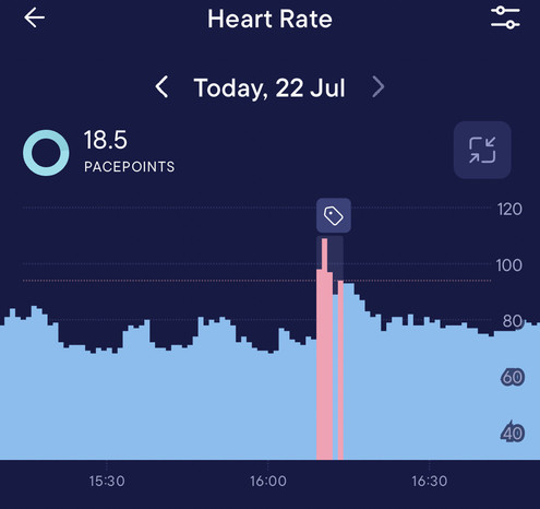 Screen from the Visible App showing my heart rate. Top says 