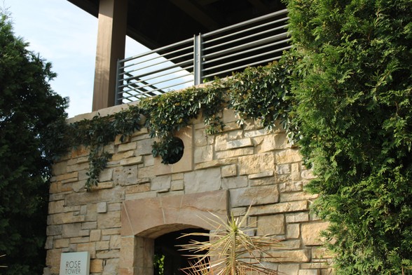 A stone wall with the top of a doorway frame and a circular window above it with some ivy growing along the ledge of an observation deck with metal fencing and a roof beneath a blue sky with some thin clouds. Trees frame both sides of the shot and the top of a tall plant is in the foreground.