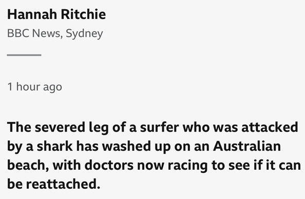 Screenshot of BBC News website. Text: Hannah Ritchie
BBC News, Sydney
1 hour ago
The severed leg of a surfer who was attacked by a shark has washed up on an Australian beach, with doctors now racing to see if it can be reattached.