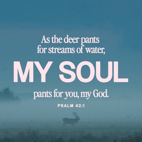 As the deer pants for streams of water, my soul pants for you, my God.

Psalm 42:1