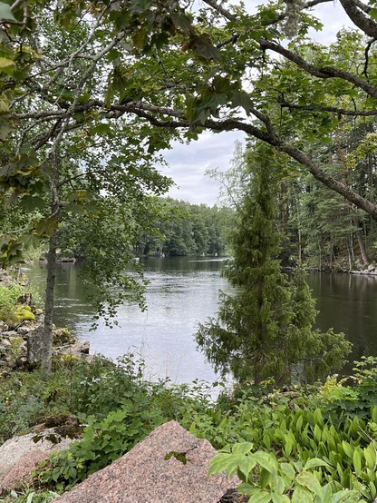 A serene lake surrounded by lush greenery and trees, framed by overhanging branches in the foreground.