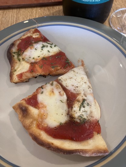 Two slices of pizza with tomato sauce, melted mozzarella, and herbs on a plate.