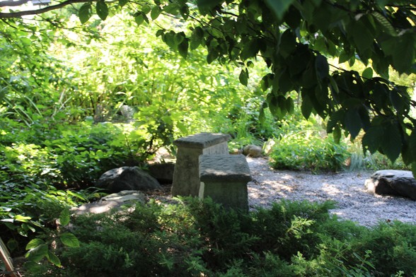 Stone benches in a shady spot surrounded by a variety of plants with some branches with leaves in the foreground in the upper right of the view. 