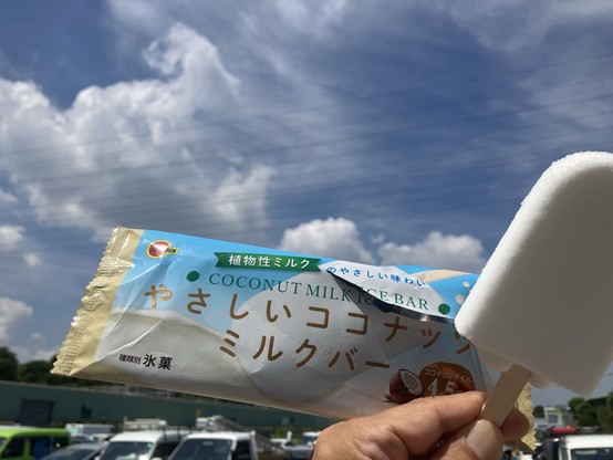 A hand holds a coconut milk ice bar with its packaging, set against a blue sky with clouds. The bar is white and popsicle-shaped.