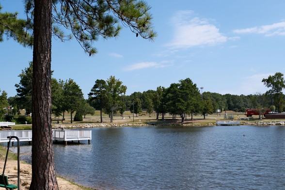 A pond in a park, beautiful blue sky with a few clouds. A tall pin tree is on the left edge, trees on the other shore. White wooden deck over the pond seen behind the pine tree.