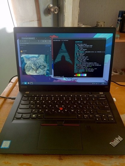 мой новенький (по цене б/у) thinkpad x390. на фотографии открыто два окна - librewolf с открытым мастодоном и fastfetch