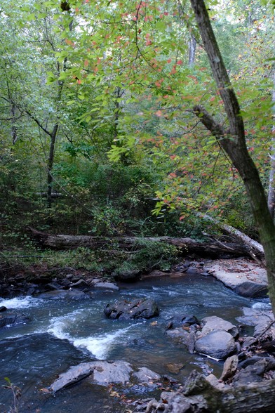 A creek view, white heads of water seen toward the bottom, trees above with some orange leaves