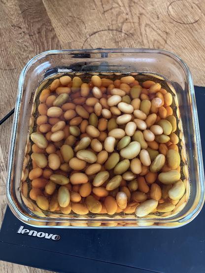 A glass container filled with various types of soaked beans in liquid, resting on a black surface.